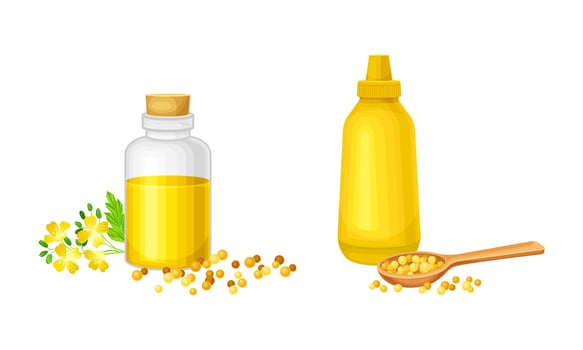 Bottles of mustard oil and sauce set. Natural organic healthy product illustration vector