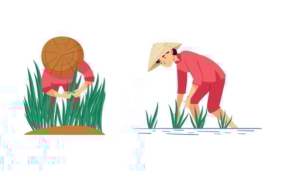 Asian farmers working on farm set. Peasants in straw conical hats planting rice on field cartoon illustration vector