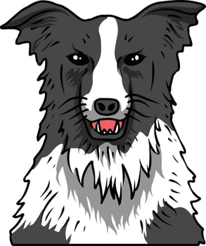 Border collie dog clipart vector