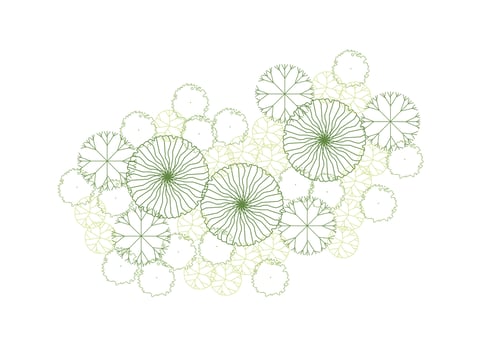 architecture drawing a tree top view plan greenery vegetation. design nature architectural landscape set element illustration bush garden flora sapling minimal. vector
