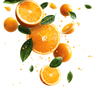 Fresh Oranges and Green Leaves Beautiful Floating Composition on Transparent Background png