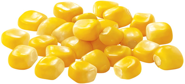 Pile of Sweetcorn Kernels Isolated Close Up On Transparent Background png