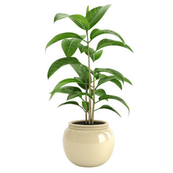 Potted Plant With Green Leaves In Beige Ceramic Pot, Botanical Illustration png