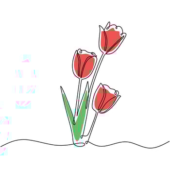 Tulip Flower Continuous One Line Art vector