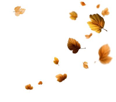 Autumnal Falling Leaves Image with Transparent Background in Isolated Design Style png