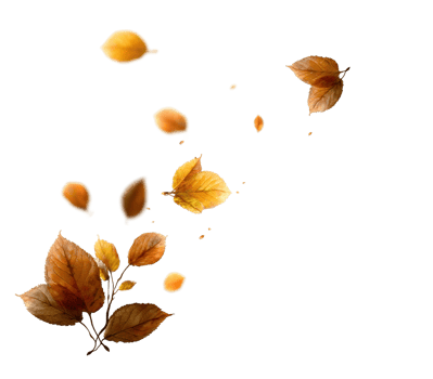 Autumn Leaves Falling Isolated on Transparent Background Season Change Natural Beauty Decoration png