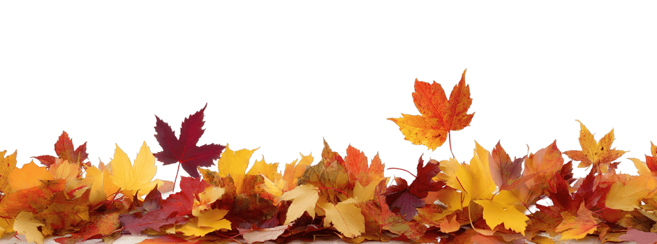 Autumn Colorful Border of Fall Leaves on Ground Transparent Background Isolated png