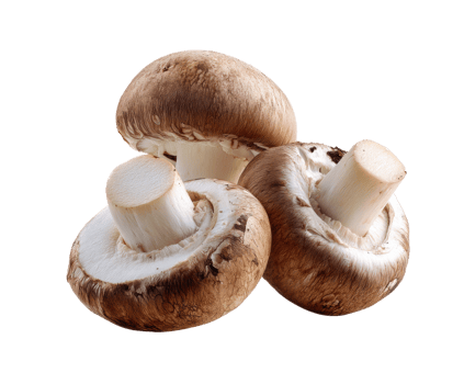 Brown mushrooms for culinary delights and natural recipes png