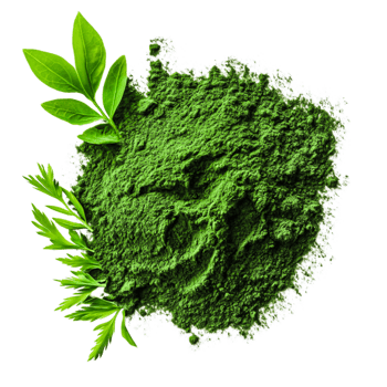 Green Powder with Fresh Leaves on Soft Background for Health and Wellness Themes png