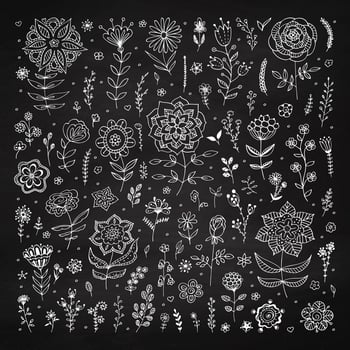 Set of floral elements on the chalkboard. Chalk elements for design, wedding decor. Vintage background. Sketch flowers and leaves. Greeting card vector