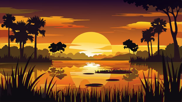 Sunset over Tropical Lake with Palm Trees Silhouette vector