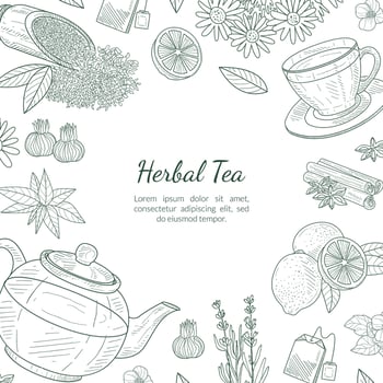 Herbal Tea Banner Template, Cafe, Restaurant Menu or Tea Shop Design Hand Drawn Illustration vector