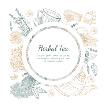 Herbal Tea Banner Template with Space for Text, Cafe, Restaurant Menu or Tea Shop Design Hand Drawn Illustration vector
