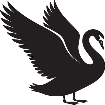 Black swan with wings outstretched standing on its feet in a stylized silhouette illustration vector