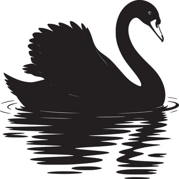 Silhouette of a black swan swimming in water with reflections on a white background illustration vector