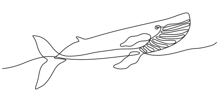 Whale silhouette One continuous line art. Hand drawn minimalism style illustration. Editable stroke ocean animal. Outline drawing for poster card banner. vector