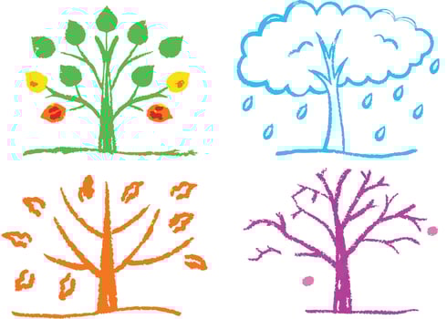A collection of four seasons tree each depicting the unique beauty of nature's changing leaves, branches, and blossoms through spring, summer, autumn, and winter vector