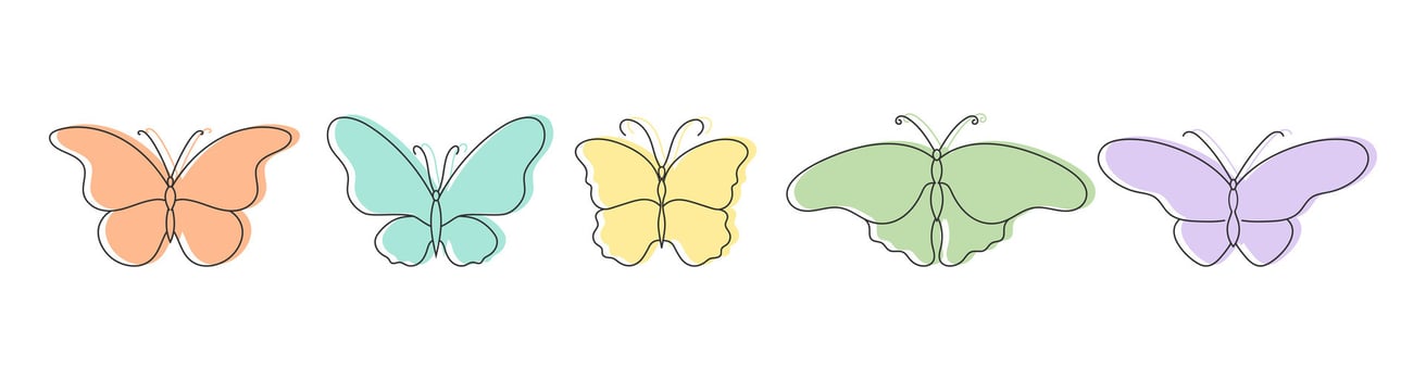 Collection of different butterfly outline icons. Colorful butterflies vector