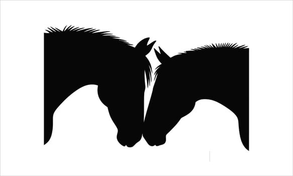 Two horses silhouettes gentle nuzzle love vector