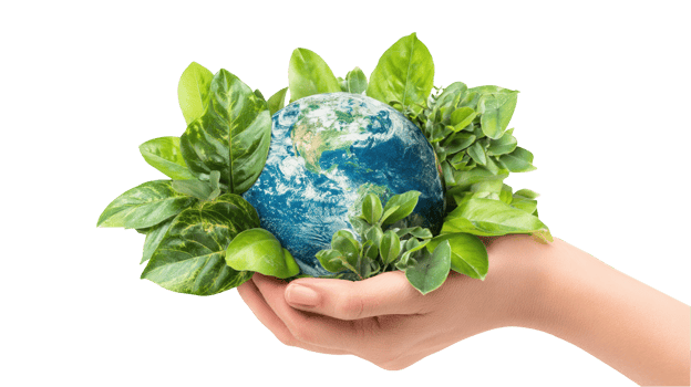 Hand holding small globe surrounded by green leaves on transparent background png