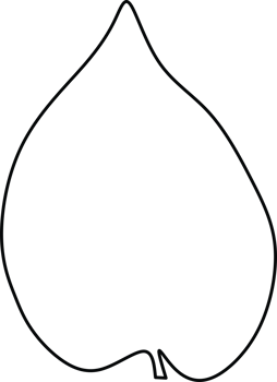 Minimalistic Line Drawing of a Single Leaf Shape png