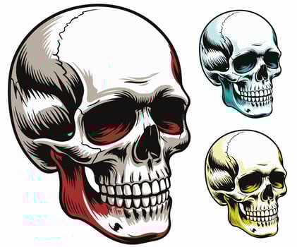 A minimalist skull head art piece. vector