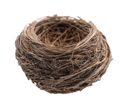 Nest made from twigs for birds in nature setup png