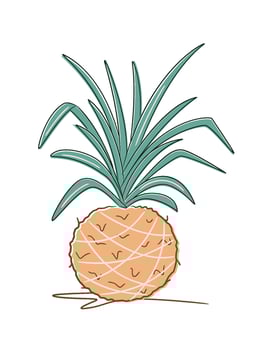 Minimalist botanical illustration of a homemade kokedama with Chlorophytum. Perfect for nature, decor, and eco-home visuals vector