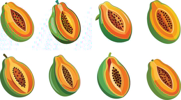 Papaya fruit set of different stages of ripening vector