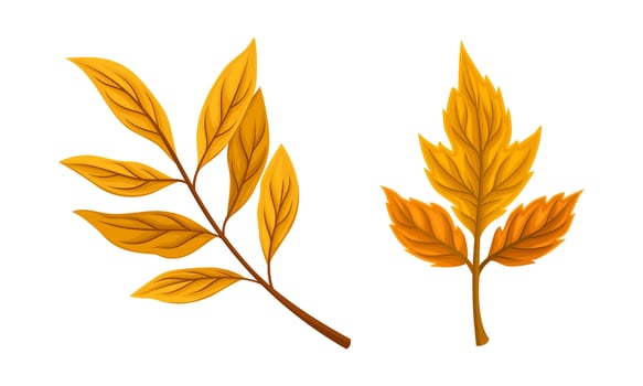 Autumn leaves set. Bright orange fall foliage illustration i vector