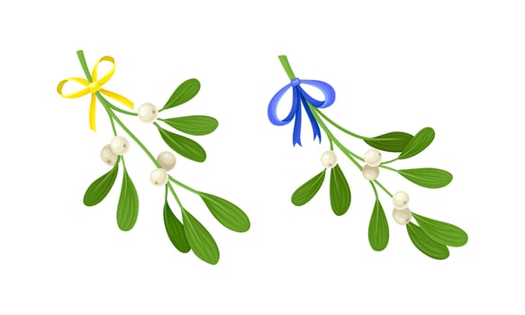 Snowberry branches with ripe berries decorated with yellow and blue bows set. Small twigs of shrub with white fruit illustration vector
