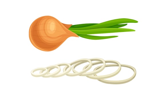 Fresh whole and sliced yellow onion bulbs set illustration vector