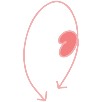 Circle arrow with love png