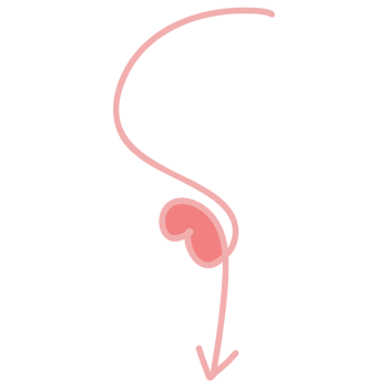 Line art arrow png
