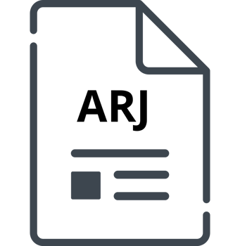 Arj File Icon Minimal Outline With Symbols png