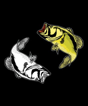 Fish illustration , Fish Design, vector
