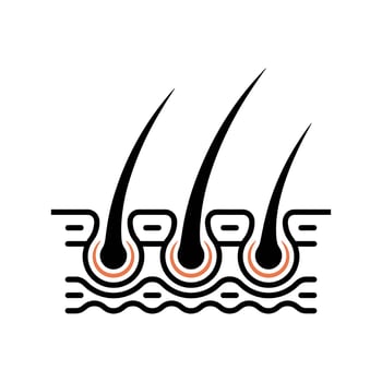 Hair Follicle Closeup Intricate details of the anatomy of hair follicles, an up-close look at the biological structure responsible for hair growth, presented in a minimalist illustrative style. vector
