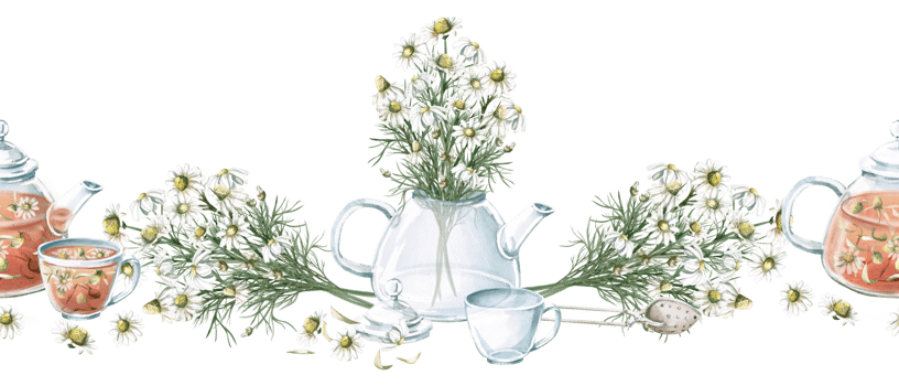 Seamless border with bouquets of daisies, teapots and cups with chamomile tea. Isolated watercolor illustration for tea packaging design, cafes menu, printing on kitchen textiles. png