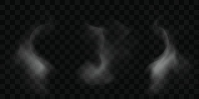 realistic wavy mist vector