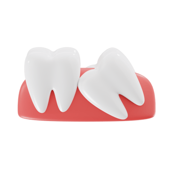 Dental Anatomy Wisdom Teeth 3D Render png