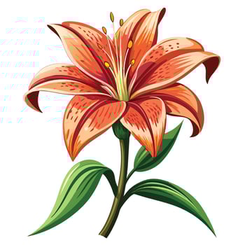 Lily Flower Artwork Cartoon Style White vector
