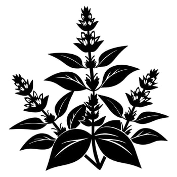 Black silhouette of herbal plant with leaves and blossoms in artistic design vector