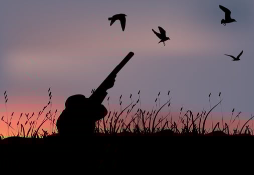 Hunting silhouette with gun and birds at sunset vector