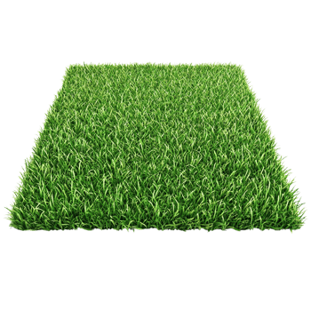 Square Patch of Lush Green Grass png