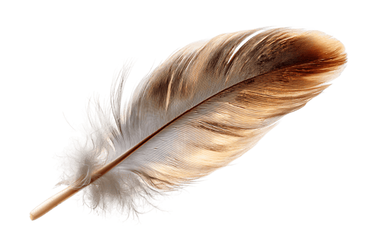 Feather with Intricate Pattern on Transparent Background Isolated Render for Designers png