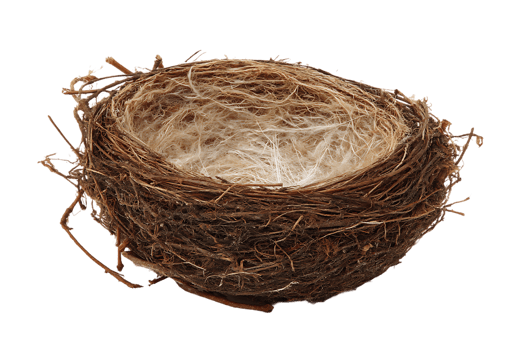 An Empty Bird Nest On A Transparent Background Isolated Image png