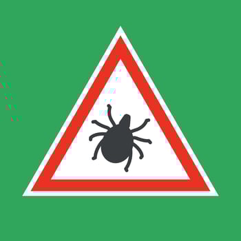 Ticks season warning sign. Beware of ticks vector