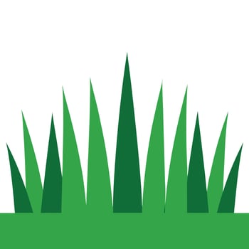Simple green grass illustration on white vector