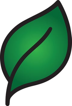 Green Leaf Illustration vector