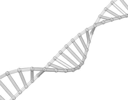 3d Transparent DNA helix with futuristic look, symbolizing genetics and biotechnology png